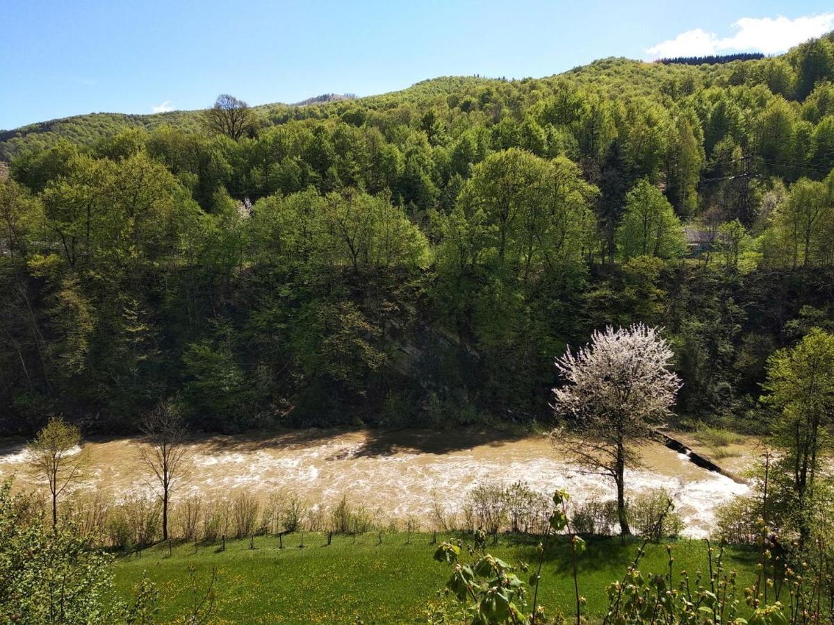 акорди плеса Yaremche